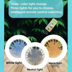 Smart Ceiling Fan with Lighting Base